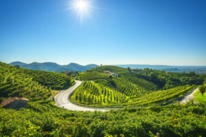 strada-del-prosecco